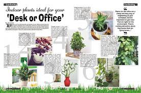In feng shui, this plant is also known as the money tree because the round leaves symbolize good fortune (this can come in the form of money, health, or fame). Feng Shui Plants For Office Desk Luxury Office Table