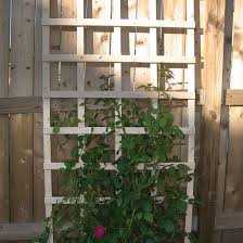 This old house editor eric hagerman demonstrates building a copper trellis. 10 Diy Garden Trellises That Cost Less Than 20