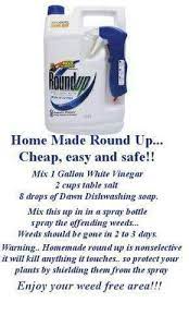Home Made Weed Killer Diy Weed Killer Pinterest Jardinage Jardins And Potager