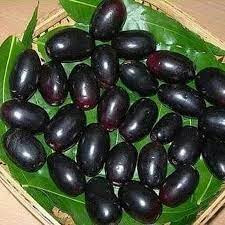 It is also used by mouth for gas ( flatulence ), swelling. Buah Jamblang Shopee Indonesia