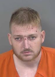 CCSO Community Service Deputy Brandi Ahrens had a close encounter of the  panther kind this morning. CSD Ahrens was typing a report in her work  vehicle along the CREW Bird Rookery Swamp