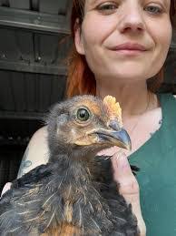 Carrie Gridley's Instagram, Twitter & Facebook