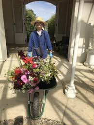 Our list of birthday flowers for each month shows the two flowers most commonly associated with each month. Lot 18 Seasonal Flowers Every Month For A Year