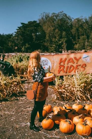 OH, MY GOURD: 15 Cutest Pumpkin Patch Outfit Ideas For Fall