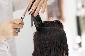 Hair salon spa near me. Haircuts Lemon Tree Hair Salons Women S Haircut Near Me