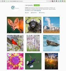 Instagram For Nature Photographers Nanpa