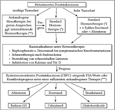 Metastasiertes Kastrationssensibles Prostatakarzinom Hormontherapie