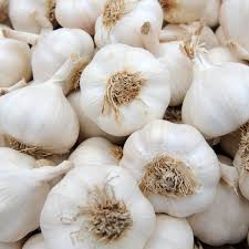 Image result for Garlic
