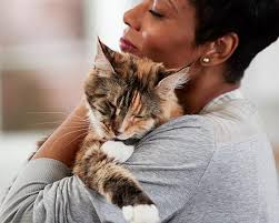 BLUE True Solutions Urinary Care Formula