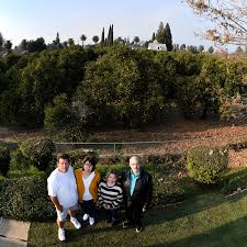 Developer plans houses for historic Redlands orange grove at Heeney estate 