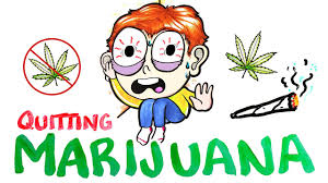 You only get 10 points of will power every day. What Happens When You Quit Marijuana Youtube