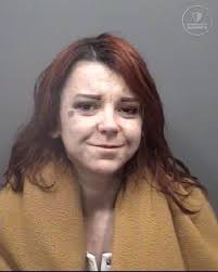 Name: Destiny Leigh Beaver Age/Gender/Race: 27/Female/White Arrest Date:  03/26/2025 Charges: 1. Writ of Habeas Corpus