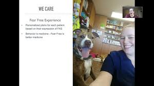 We did not find results for: Family Pet Vet Centers We Care Youtube