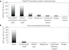 The store has a variety of construction. High Rates Of Organic Carbon Burial In Fjord Sediments Globally Nature Geoscience