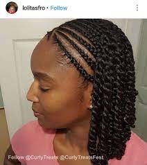 Pin By Ebony Madison On Protective Styles Braids Natural Braided Hairstyles Natural Hair Twists Natural Braids