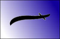 Image result for Daknopholis