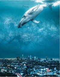 Ted Chin's Creative Process