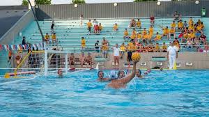 Sportjáért alapítvány hódmezővásárhelyi vízilabda sport club steinmetz ádám szerződtetése mellett továbbra is barabás botond lesz nagy viktor társa. Vizilabda Fodor Adam Lesz A Csabaiak Vezetoedzoje