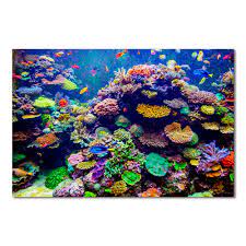 With your custom order the colors. Coral Reefs Poster Wall Art Canvas Print Painting 1 Piece Beautiful Fish Home Decor Underwater Hd Painting For Room Decoration Art Pictures Wall Art Picturewall Art Aliexpress