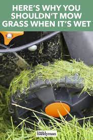 Here S Why You Shouldn T Mow Grass When It S Wet No Mow Grass Mowing Landscaping Tips
