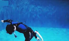 Maybe you would like to learn more about one of these? Scuba Diving Gif Gfycat
