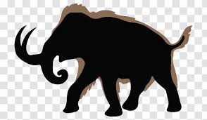 Check spelling or type a new query. Woolly Mammoth Silhouette Drawing Clip Art Line Transparent Png