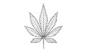 Beautiful rasta drawing by chris caballero. How To Draw A Pot Leaf