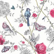 Arthouse Birds Of Paradise Vinyl Wallpaper Pin On Nancy Perez