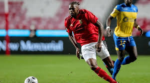 Camiseta sl benfica exterior 2020/2021. Evkpg U6c6l8 M