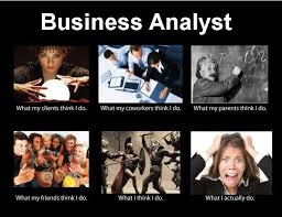 Image 252716 What People Think I Do What I Really Do Business Analyst Humor Business Analyst Career Business Analysis