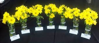 Insert one of the straws into the floral form and pour to make fresh cut flowers last longer, use 1/2 water and 1/2 soda, such as sprite or any clear color. How To Make You Cut Flowers Last Longer The Answer Is In Your Fridge