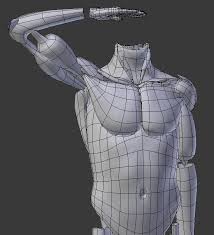 Image Result For Shoulder Topology Animation Process Topology Muscle System