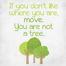 You Are Not A Tree Inspirational Quotes Quotable Quotes Words