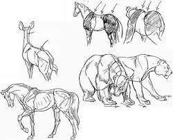 A single hair can be similar to a simple pencil stroke, but you can't draw fur by drawing a lot of simple strokes! Tips On Drawing Animals Animal Drawing Joshua Nava Arts
