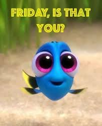 Ugly Bird From Finding Dory Pin By Amy Mcghee Wilbanks On For All Occasions Baby Dory Finding Dory Dory