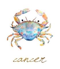 See more ideas about watercolor tattoo, tattoos, body art tattoos. Charming Montly Watercolor Crab With Cencer Quote Tattoo Design Tattooimages Biz