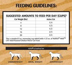 How Much To Feed A Cat Chart Best Picture Of Chart