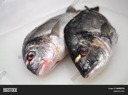 Add style to your home, with pieces that add to your decor while providing hidden storage. Dorado Fish On Table Image Photo Free Trial Bigstock