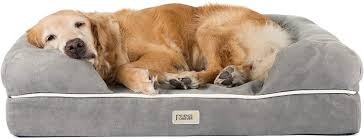 It is particularly awesome for even extra large breed dogs as their heavier bodies require a bit more support than what many simple memory foam options have to offer. The Best Beds For Large Dogs Pet Toy Uk 2021