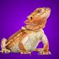 HERPS SWLA Exotic Reptile and Pet Show event image