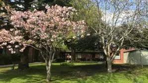 Care Homes In Horndean Hampshire