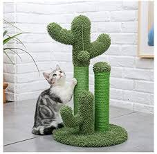 If you buy a palm tree that's outside your growing zone, ensure it's suited for indoor growth and move it inside when temperatures drop. Cat Tree Cute Cactus Pet Cat Tree Toys With Ball Scratcher Posts For Cats Kitten Climbing Tree Cat Toy Protecting Furniture Color Amt0066gn L Size Cactus Cat Tree Amazon Ae