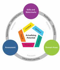 Cognitive development occurs through the interaction of innate capacities and environmental events, and children pass through a series of stages. 5 Areas Of Development