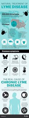 Lyme Disease Prevention Tips Ways To Naturally Treat Lyme Disease Lyme Disease Prevention Lyme Disease Treatment
