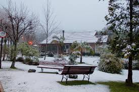 Parka gramado 2 vendidos nas últimas 8 horas. Inverno Em Gramado Armazem Home