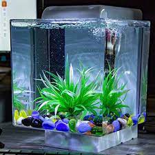 Maybe you would like to learn more about one of these? Small Acrylic Aquarium Fish Tank For Sale Global Sources