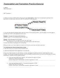 Ta c g c g gt g a a a tat gtc att mrna: Transcription And Translation Practice Worksheet Dna Answers Samsfriedchickenanddonuts