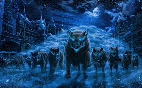 Please contact us if you want to publish a wolf wallpaper on our site. Download Wallpapers Wolves Night Art Winter Flock Of Wolves Besthqwallpapers Com Wolf Spirit Animal Art Snow Wolf