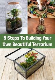 Succulent Terrarium Diy Succulent Terrarium Saftiges Terrarium Diy Terrarium Succulent Bricola In 2020 With Images Diy Succulent Terrarium Terrarium Diy Beautiful Terrariums