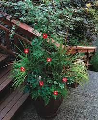 We did not find results for: Stylish Shady Containers Finegardening